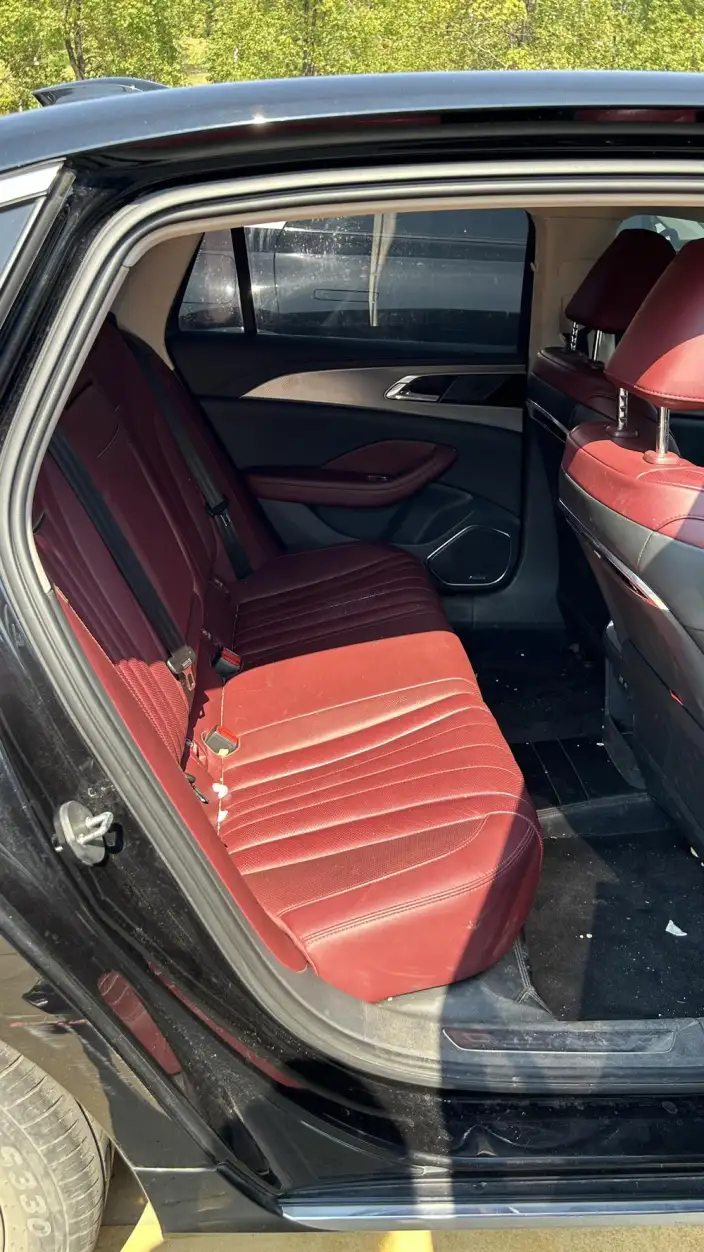 Hongqi H5 2023 Model 2.0T Automatic Flag Enjoy Edition – фото 8