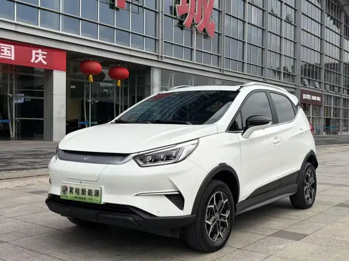 Yuan Pro 2021 Model 401KM Noble Model