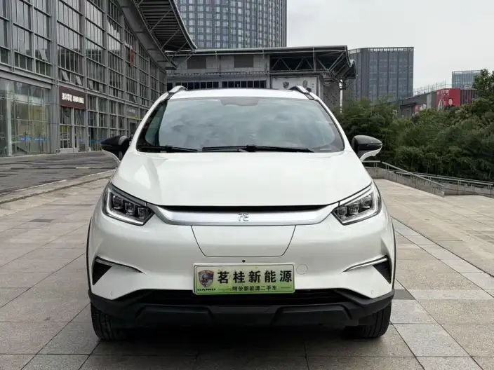 Yuan Pro 2021 Model 401KM Noble Model