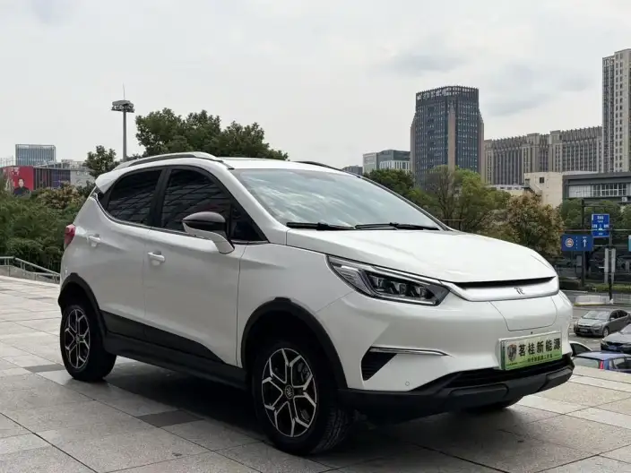 Yuan Pro 2021 Model 401KM Noble Model