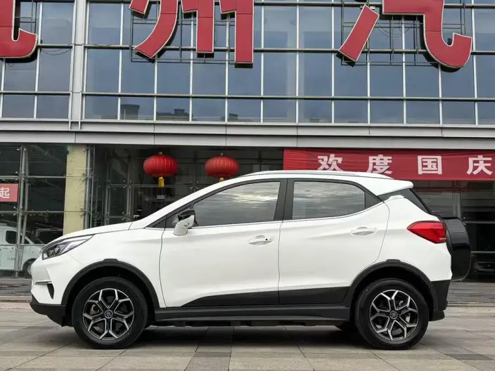 Yuan Pro 2021 Model 401KM Noble Model