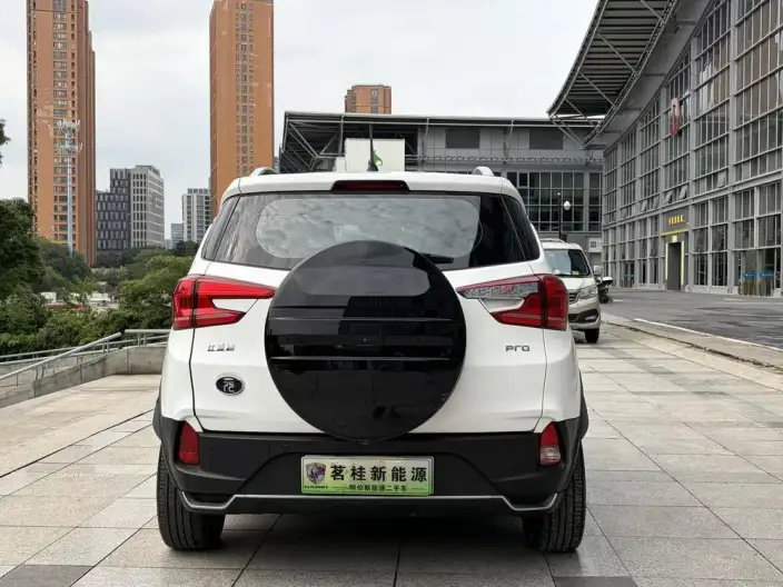 Yuan Pro 2021 Model 401KM Noble Model – фото 6