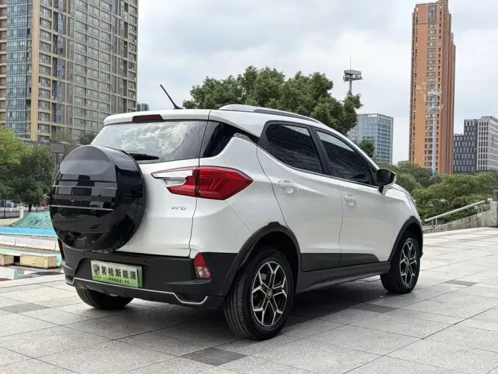 Yuan Pro 2021 Model 401KM Noble Model – фото 7