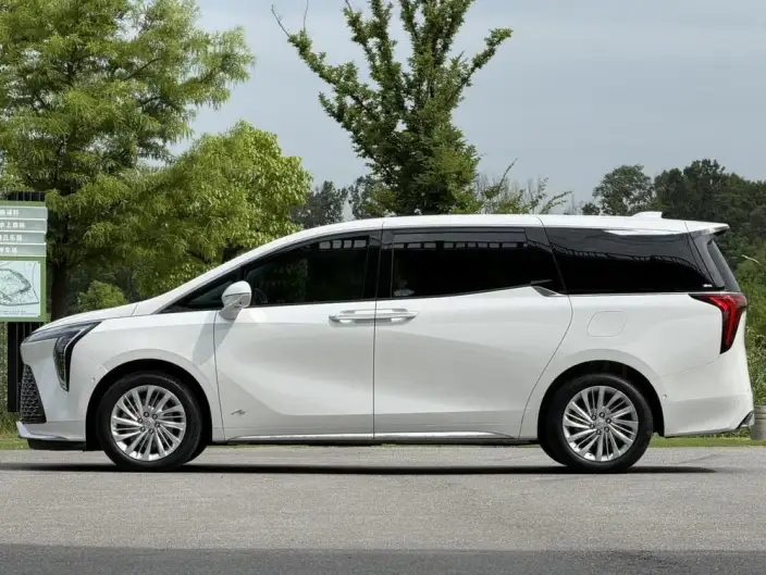 Century 2023 Model 2.0T VI seat Yunshi Edition