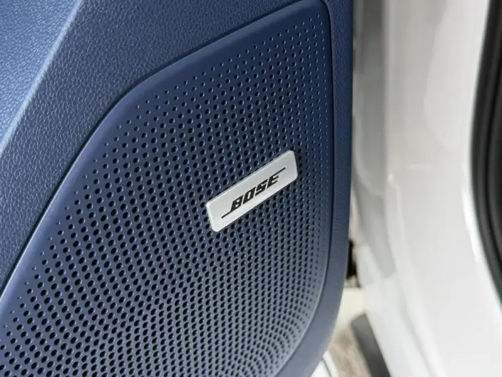Century 2023 Model 2.0T VI seat Yunshi Edition – фото 9