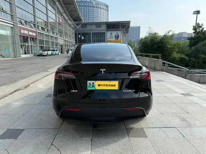 Model Y 2022 Model Rear-wheel drive version – фото 6