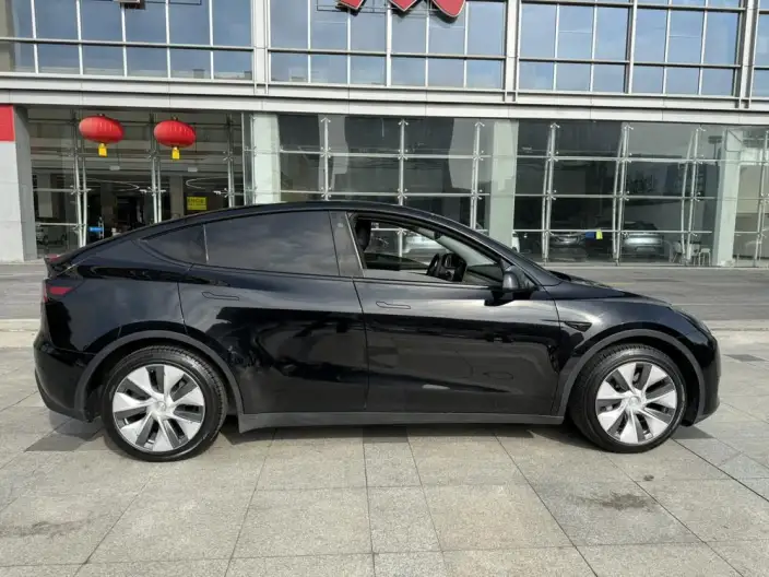 Model Y 2022 Model Rear-wheel drive version – фото 8