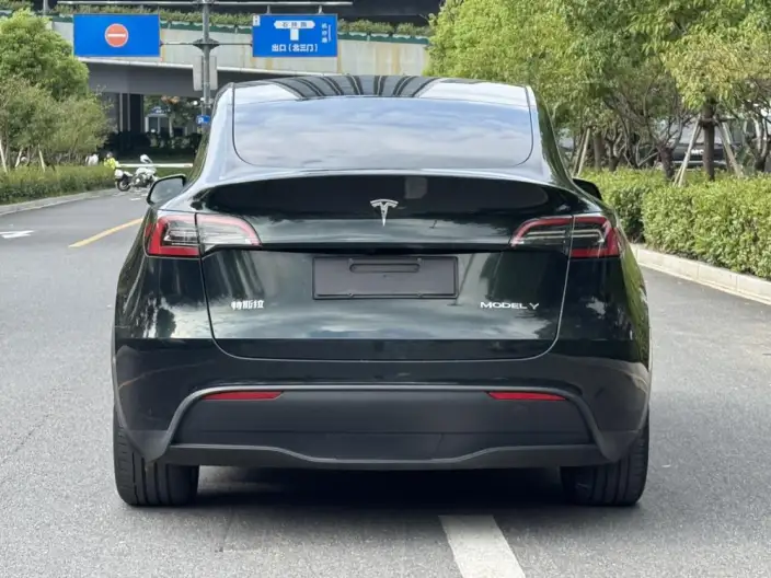 Model Y 2022 Model Facelift Rear-wheel drive version – фото 6