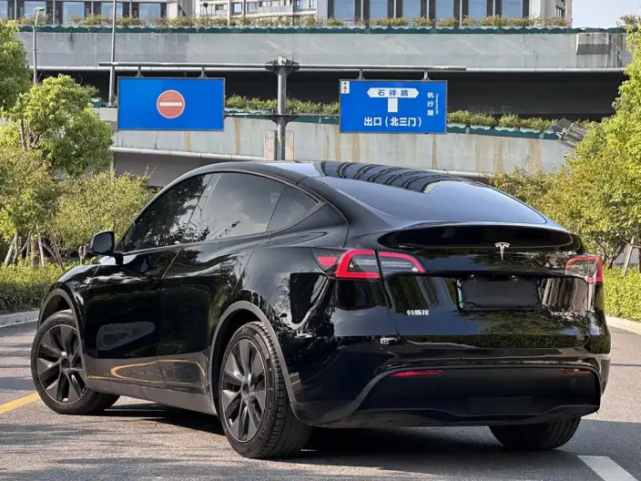 Model Y 2023 Model Rear-wheel drive version – фото 5