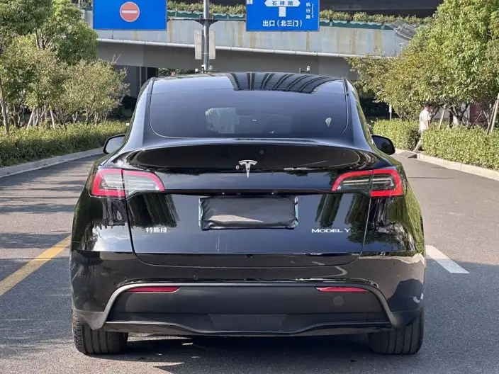 Model Y 2023 Model Rear-wheel drive version – фото 6