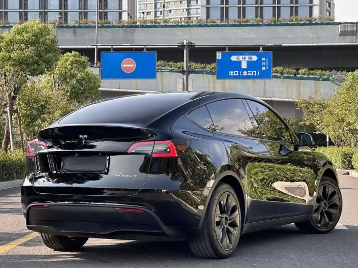 Model Y 2023 Model Rear-wheel drive version – фото 7