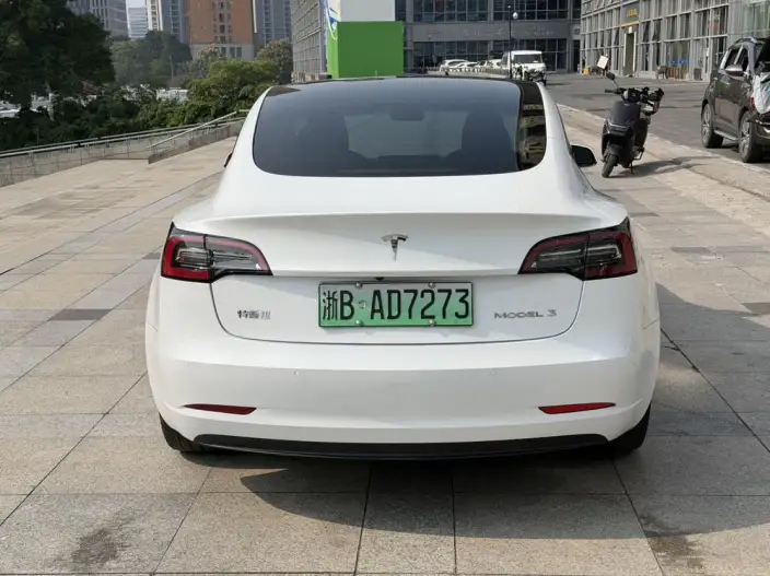 Model 3 2022 Model Rear-wheel drive version – фото 6