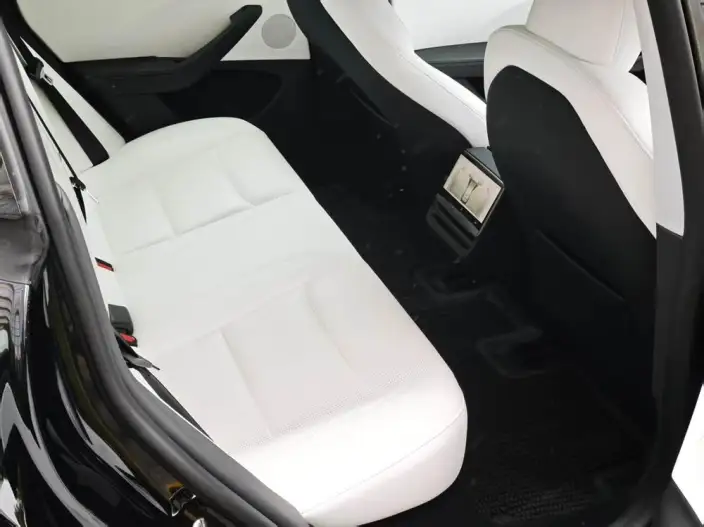 Model 3 2023 Model Rear-wheel drive version – фото 9