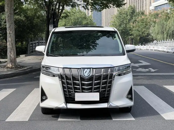 Elfa 2021 Model Hybrid 2.5L Deluxe Edition