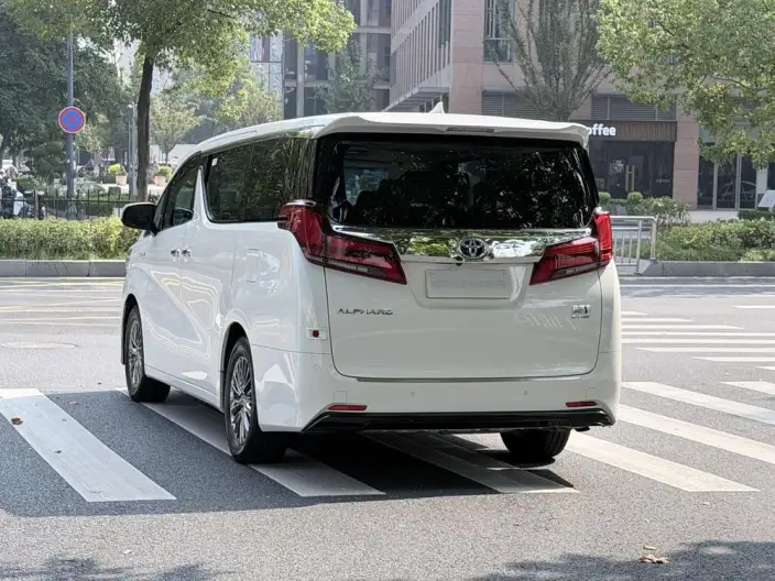 Elfa 2021 Model Hybrid 2.5L Deluxe Edition – фото 5