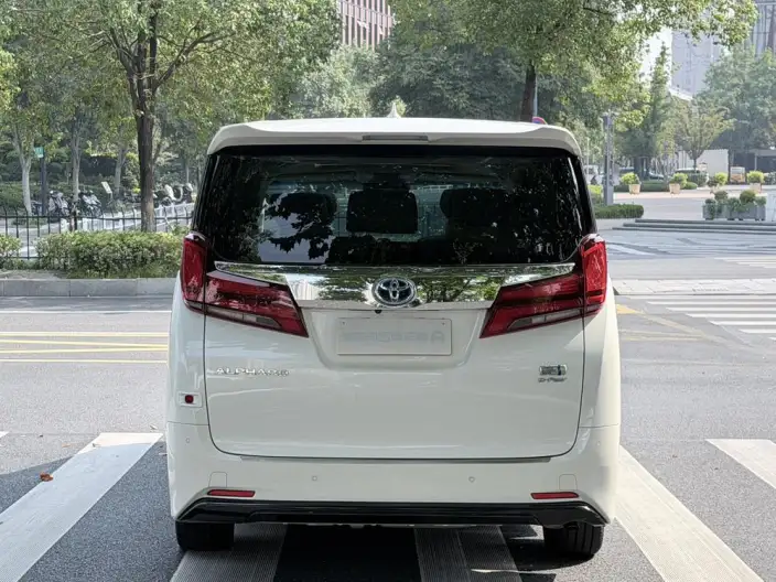 Elfa 2021 Model Hybrid 2.5L Deluxe Edition – фото 6