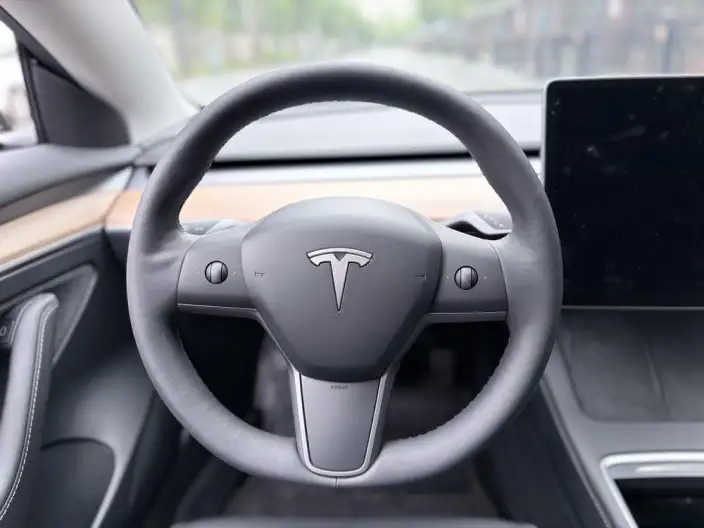 Model 3 2022 Model Rear-wheel drive version – фото 9