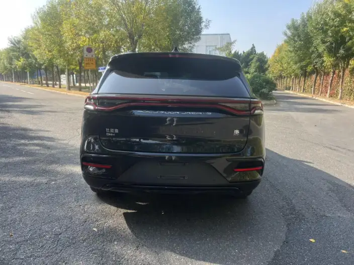 BYD Tang DM 2021 Model DM-i 1.5T 112KM Zunrong Model – фото 6