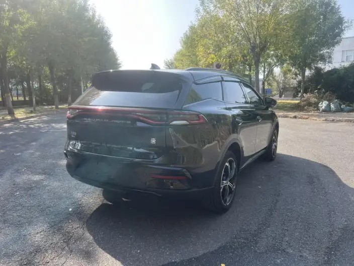 BYD Tang DM 2021 Model DM-i 1.5T 112KM Zunrong Model – фото 7