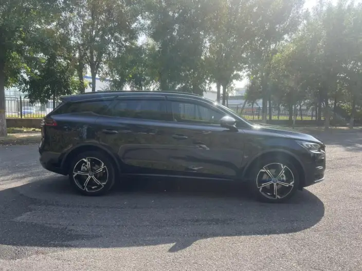 BYD Tang DM 2021 Model DM-i 1.5T 112KM Zunrong Model – фото 8