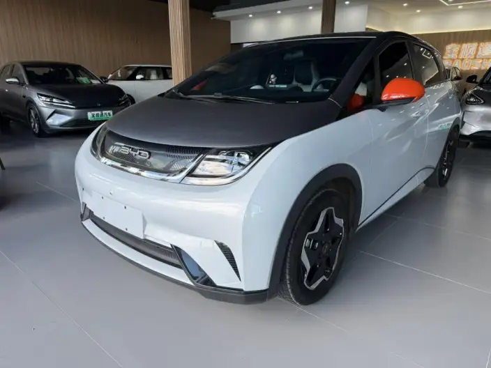 BYD Dolphin 2021 Model Fashion Edition – фото 1