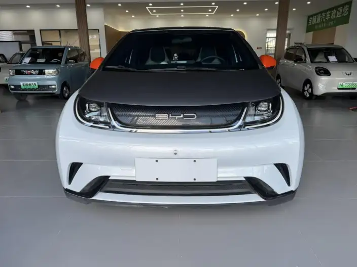 BYD Dolphin 2021 Model Fashion Edition – фото 2