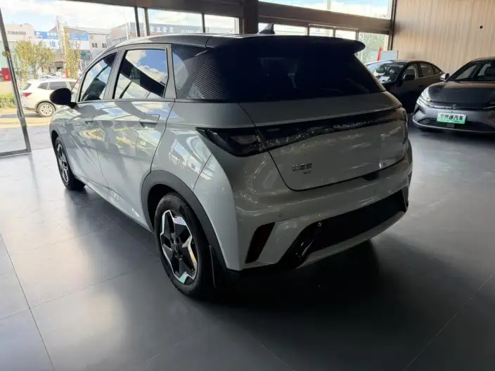 BYD Dolphin 2021 Model Fashion Edition – фото 3