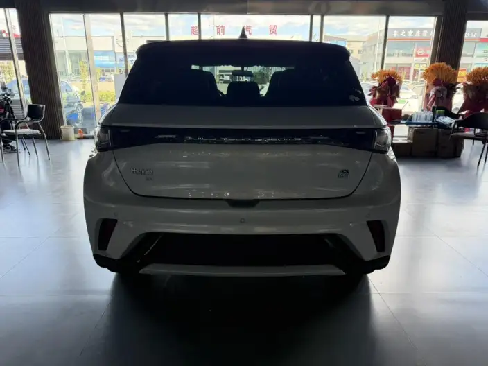 BYD Dolphin 2021 Model Fashion Edition – фото 4