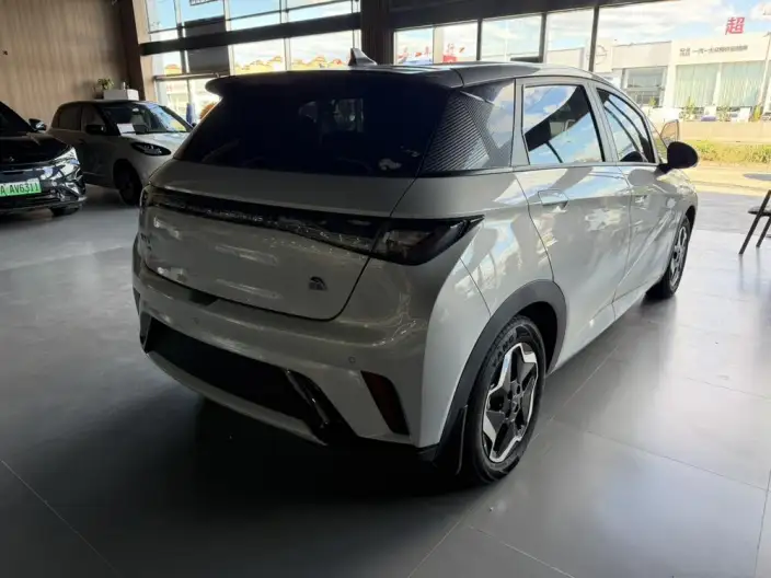 BYD Dolphin 2021 Model Fashion Edition – фото 5