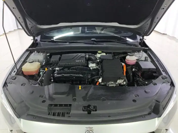 BYD Qin PLUS DM 2024 Model Honor Edition DM-i 55KM Leading Model – фото 10