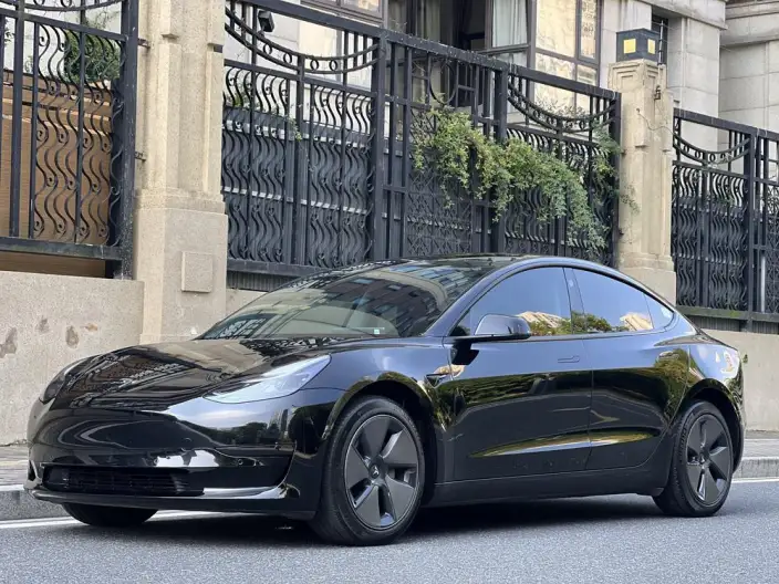 Model 3 2022 Model Rear-wheel drive version – фото 1