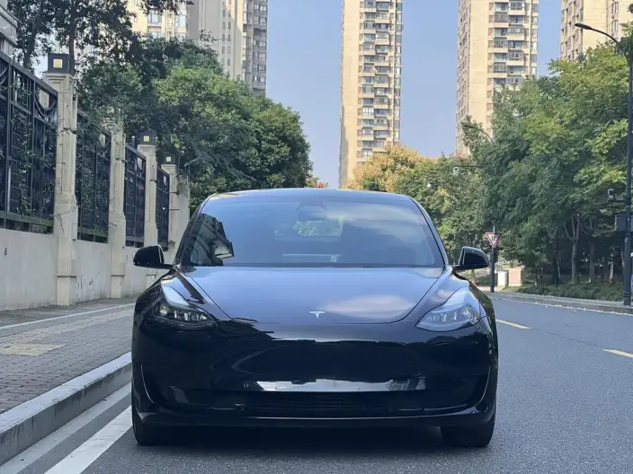 Model 3 2022 Model Rear-wheel drive version – фото 2