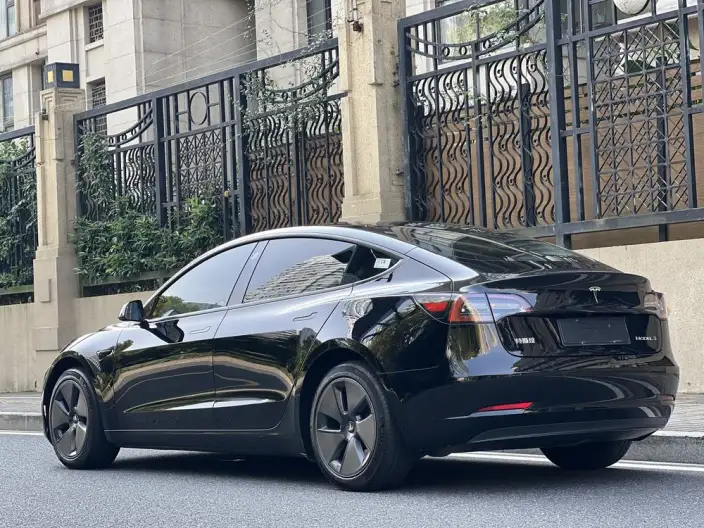Model 3 2022 Model Rear-wheel drive version – фото 5