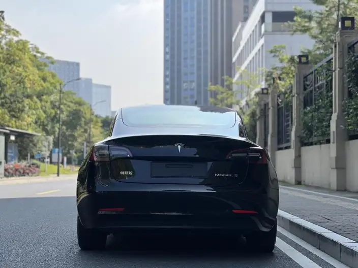 Model 3 2022 Model Rear-wheel drive version – фото 6