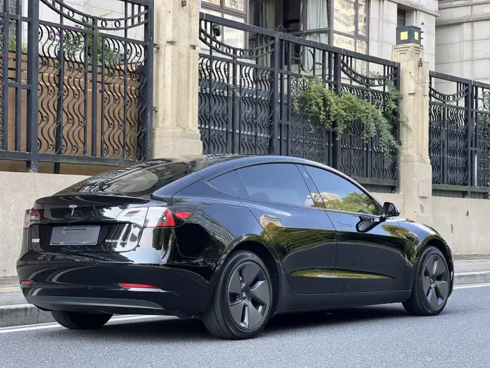 Model 3 2022 Model Rear-wheel drive version – фото 7
