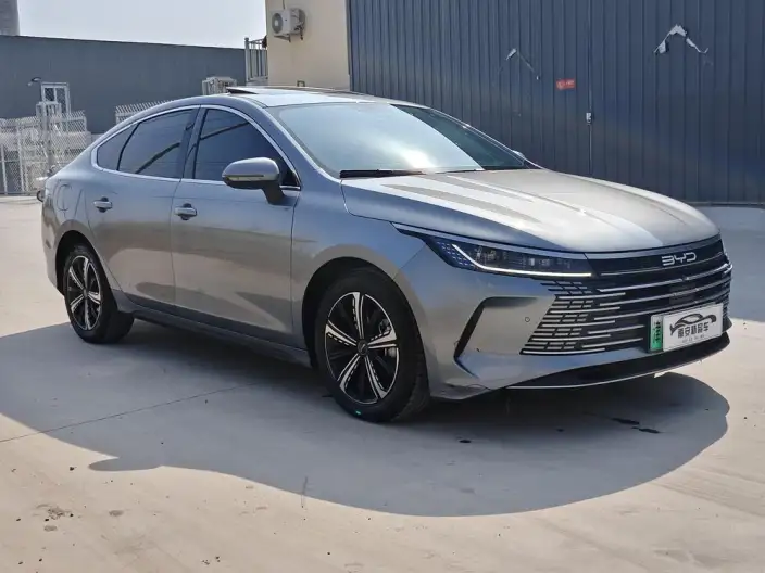 BYD Destroyer 05 2023 Model DM-i Champion Edition 55KM Luxury Model – фото 3