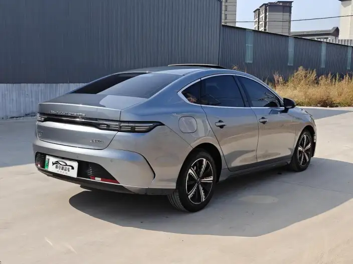 BYD Destroyer 05 2023 Model DM-i Champion Edition 55KM Luxury Model – фото 6