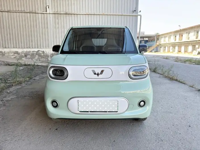 Wuling Hongguang MINIEV 2024 Model 215km Youth Edition Lithium Iron Phosphate
