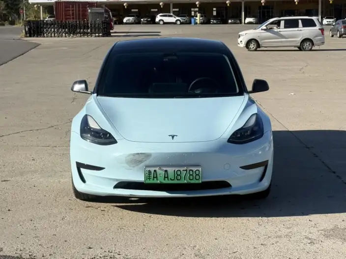 Model 3 2022 Model Rear-wheel drive version – фото 2
