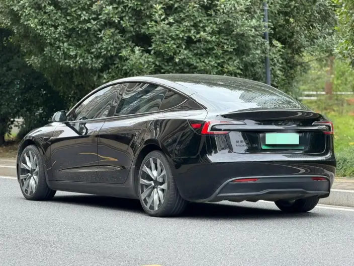 Model 3 2023 Model Long Battery Life Pro All-wheel drive version – фото 5