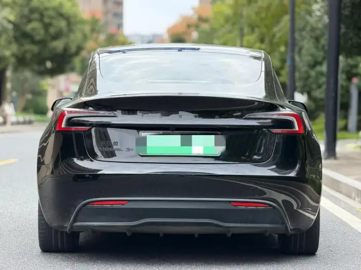 Model 3 2023 Model Long Battery Life Pro All-wheel drive version – фото 6