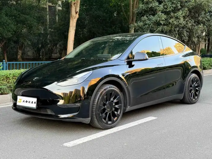 Model Y 2022 Model Long Battery Life Pro All-wheel drive version – фото 1