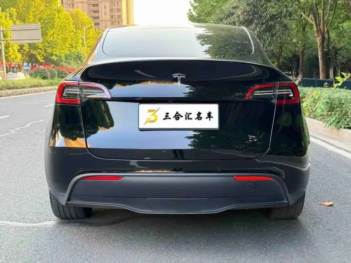 Model Y 2022 Model Long Battery Life Pro All-wheel drive version – фото 4