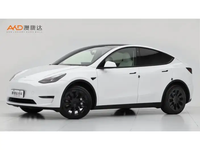 Model Y 2023 Model Long Battery Life Pro All-wheel drive version – фото 1