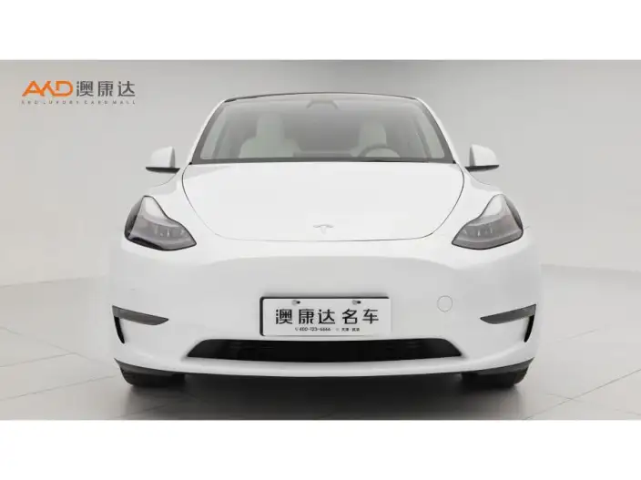 Model Y 2023 Model Long Battery Life Pro All-wheel drive version – фото 2