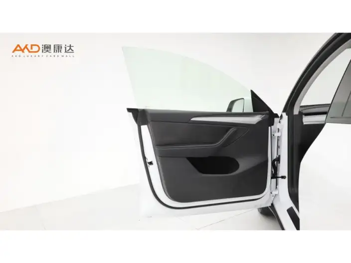 Model Y 2023 Model Long Battery Life Pro All-wheel drive version – фото 9