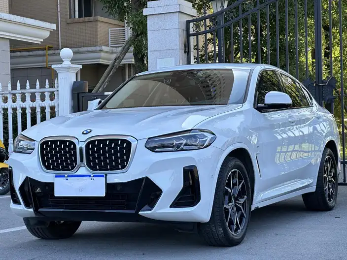 BMW X4 2022 Model xDrive 25i M Sports Set – фото 1