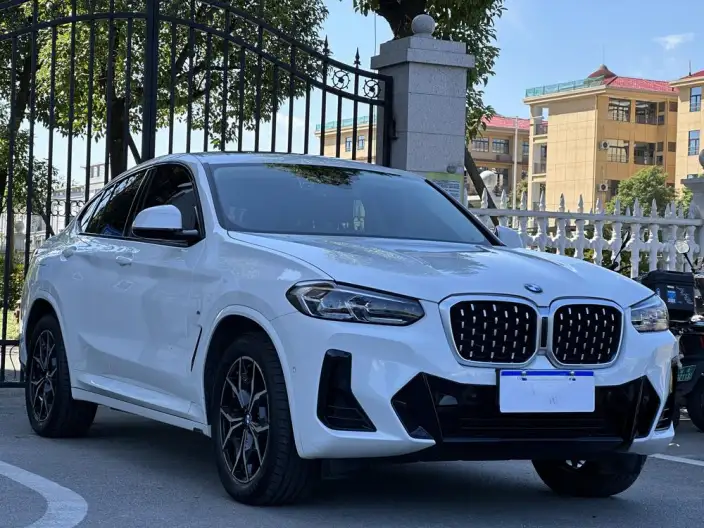 BMW X4 2022 Model xDrive 25i M Sports Set – фото 3