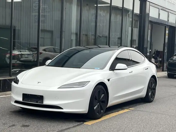 Model 3 2025 Model Rear-wheel drive version – фото 1