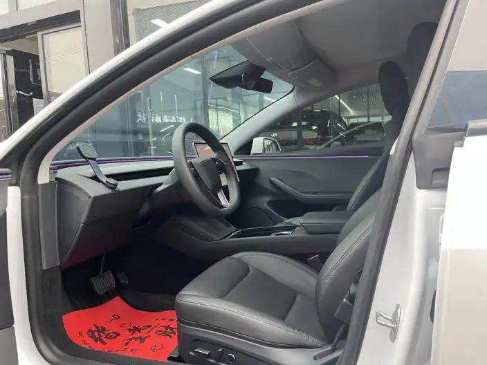 Model 3 2025 Model Rear-wheel drive version – фото 10
